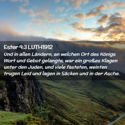 Picture 02 - Ester 4:3 LUTH1912 - Und in allen Ländern, an welchen Ort des Königs - Bible Verse Picture