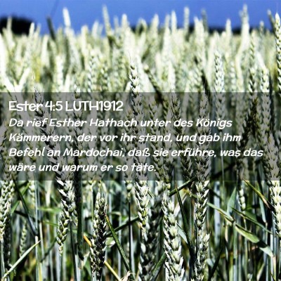 Picture 02 - Ester 4:5 LUTH1912 - Da rief Esther Hathach unter des Königs - Bible Verse Picture
