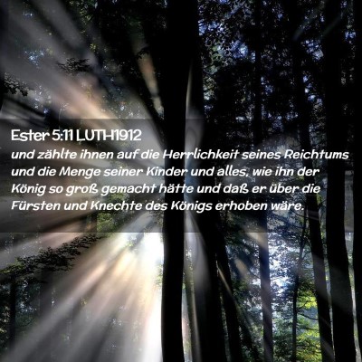 Picture 02 - Ester 5:11 LUTH1912 - und zählte ihnen auf die Herrlichkeit seines - Bible Verse Picture
