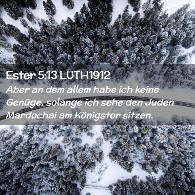 Picture 02 - Ester 5:13 LUTH1912 - Aber an dem allem habe ich keine Genüge, solange - Bible Verse Picture
