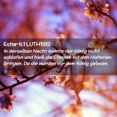 Picture 02 - Ester 6:1 LUTH1912 - In derselben Nacht konnte der König nicht - Bible Verse Picture