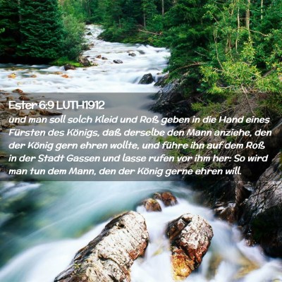 Picture 02 - Ester 6:9 LUTH1912 - und man soll solch Kleid und Roß geben in die - Bible Verse Picture