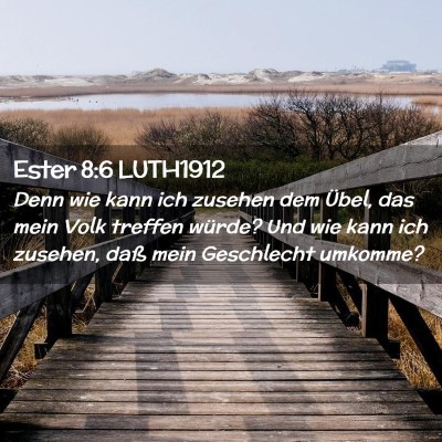 Picture 02 - Ester 8:6 LUTH1912 - Denn wie kann ich zusehen dem Übel, das mein - Bible Verse Picture