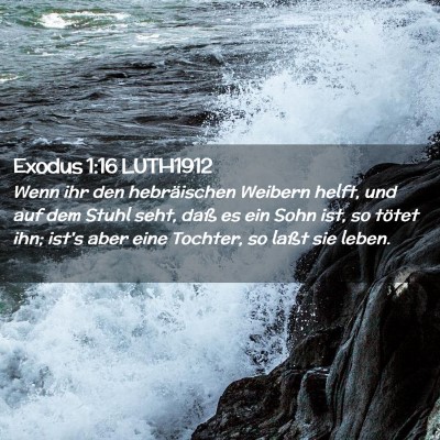 Picture 02 - Exodus 1:16 LUTH1912 - Wenn ihr den hebräischen Weibern helft, und auf - Bible Verse Picture