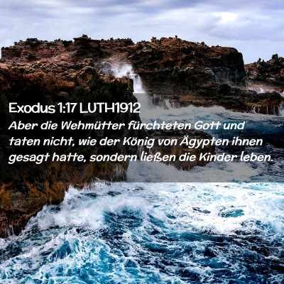 Picture 02 - Exodus 1:17 LUTH1912 - Aber die Wehmütter fürchteten Gott und taten - Bible Verse Picture