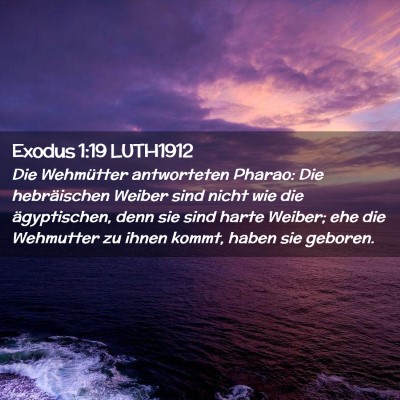 Picture 02 - Exodus 1:19 LUTH1912 - Die Wehmütter antworteten Pharao: Die - Bible Verse Picture