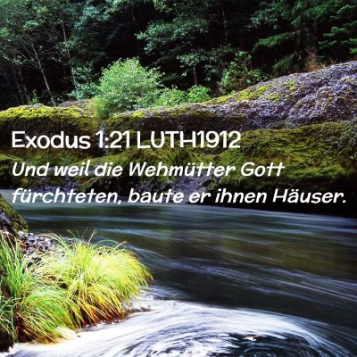 Picture 02 - Exodus 1:21 LUTH1912 - Und weil die Wehmütter Gott fürchteten, baute - Bible Verse Picture
