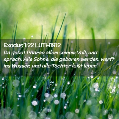 Picture 02 - Exodus 1:22 LUTH1912 - Da gebot Pharao allem seinem Volk und sprach: - Bible Verse Picture