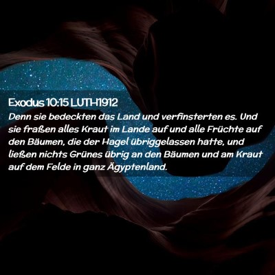 Picture 02 - Exodus 10:15 LUTH1912 - Denn sie bedeckten das Land und verfinsterten es. - Bible Verse Picture