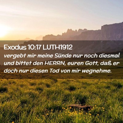 Picture 02 - Exodus 10:17 LUTH1912 - vergebt mir meine Sünde nur noch diesmal und - Bible Verse Picture