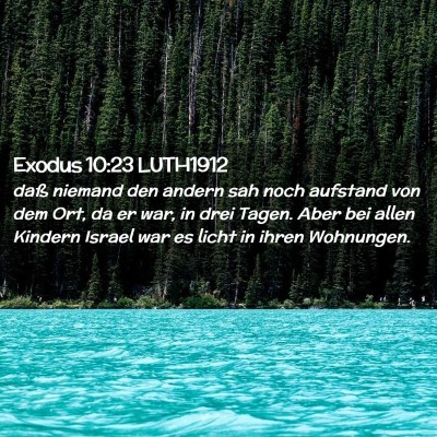 Picture 02 - Exodus 10:23 LUTH1912 - daß niemand den andern sah noch aufstand von dem - Bible Verse Picture