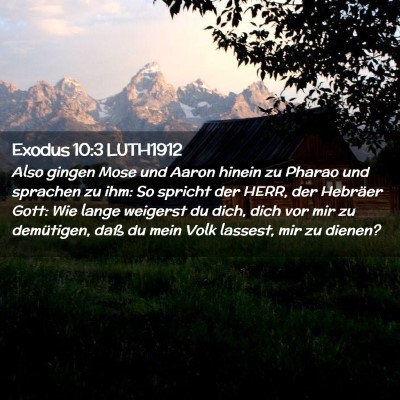 Picture 02 - Exodus 10:3 LUTH1912 - Also gingen Mose und Aaron hinein zu Pharao und - Bible Verse Picture