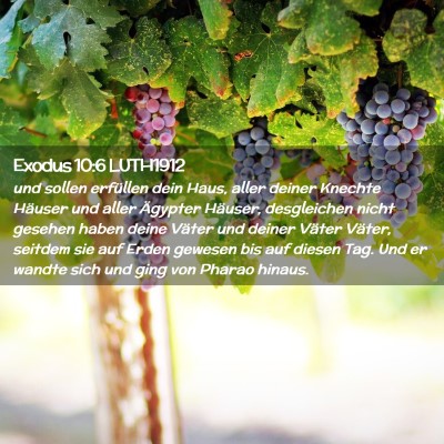Picture 02 - Exodus 10:6 LUTH1912 - und sollen erfüllen dein Haus, aller deiner - Bible Verse Picture