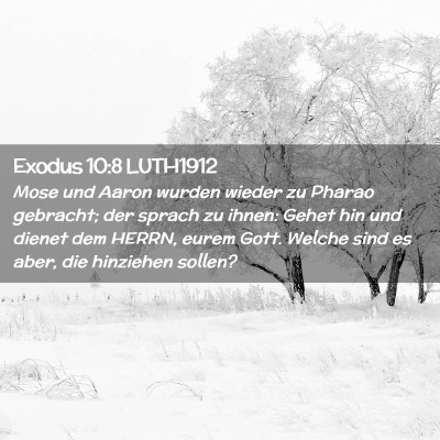 Picture 02 - Exodus 10:8 LUTH1912 - Mose und Aaron wurden wieder zu Pharao gebracht; - Bible Verse Picture