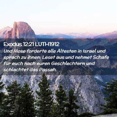 Picture 02 - Exodus 12:21 LUTH1912 - Und Mose forderte alle Ältesten in Israel und - Bible Verse Picture