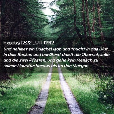Picture 02 - Exodus 12:22 LUTH1912 - Und nehmet ein Büschel Isop und taucht in das - Bible Verse Picture