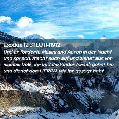 Picture 02 - Exodus 12:31 LUTH1912 - Und er forderte Moses und Aaron in der Nacht und - Bible Verse Picture