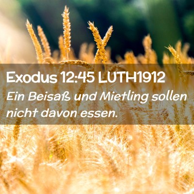 Picture 02 - Exodus 12:45 LUTH1912 - Ein Beisaß und Mietling sollen nicht davon - Bible Verse Picture