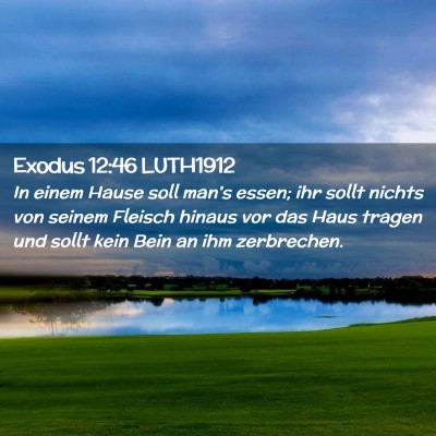 Picture 02 - Exodus 12:46 LUTH1912 - In einem Hause soll man's essen; ihr sollt nichts - Bible Verse Picture