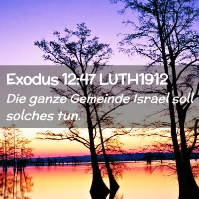 Picture 02 - Exodus 12:47 LUTH1912 - Die ganze Gemeinde Israel soll solches - Bible Verse Picture
