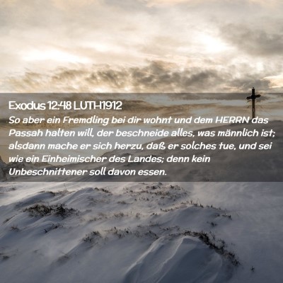 Picture 02 - Exodus 12:48 LUTH1912 - So aber ein Fremdling bei dir wohnt und dem HERRN - Bible Verse Picture