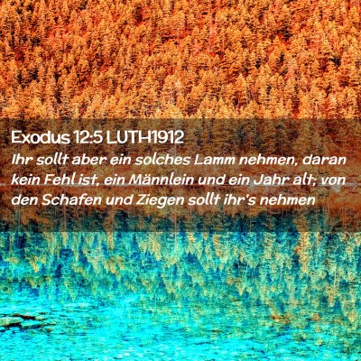 Picture 02 - Exodus 12:5 LUTH1912 - Ihr sollt aber ein solches Lamm nehmen, daran - Bible Verse Picture