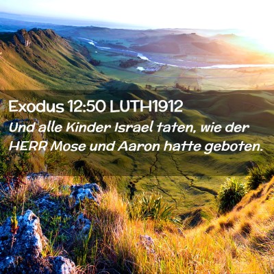 Picture 02 - Exodus 12:50 LUTH1912 - Und alle Kinder Israel taten, wie der HERR Mose - Bible Verse Picture