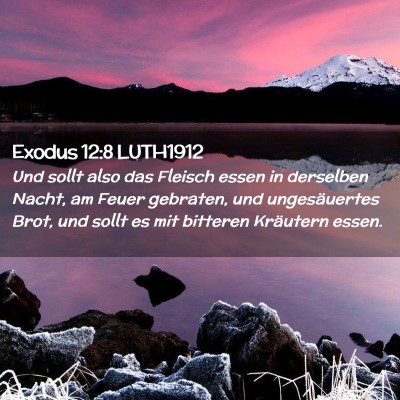 Picture 02 - Exodus 12:8 LUTH1912 - Und sollt also das Fleisch essen in derselben - Bible Verse Picture