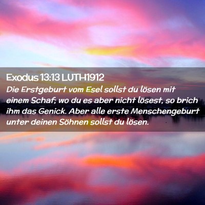 Picture 02 - Exodus 13:13 LUTH1912 - Die Erstgeburt vom Esel sollst du lösen mit - Bible Verse Picture