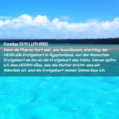 Picture 02 - Exodus 13:15 LUTH1912 - Denn da Pharao hart war, uns loszulassen, - Bible Verse Picture