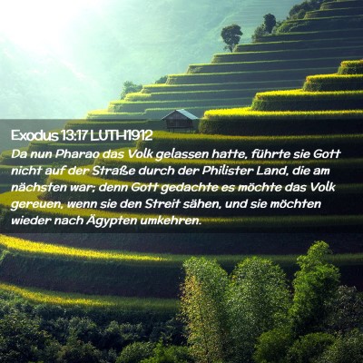 Picture 02 - Exodus 13:17 LUTH1912 - Da nun Pharao das Volk gelassen hatte, führte - Bible Verse Picture