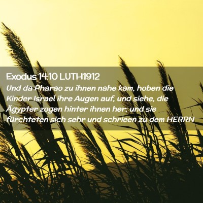 Picture 02 - Exodus 14:10 LUTH1912 - Und da Pharao zu ihnen nahe kam, hoben die Kinder - Bible Verse Picture
