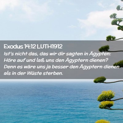 Picture 02 - Exodus 14:12 LUTH1912 - Ist's nicht das, das wir dir sagten in Ägypten: - Bible Verse Picture
