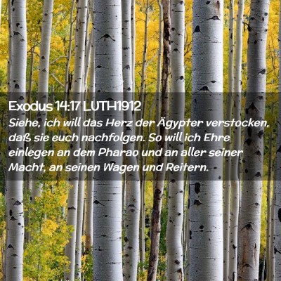 Picture 02 - Exodus 14:17 LUTH1912 - Siehe, ich will das Herz der Ägypter verstocken, - Bible Verse Picture