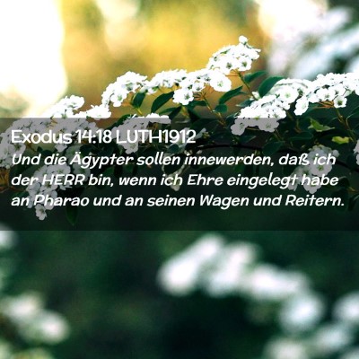 Picture 02 - Exodus 14:18 LUTH1912 - Und die Ägypter sollen innewerden, daß ich der - Bible Verse Picture
