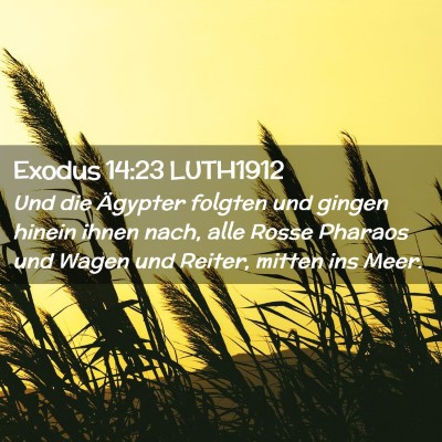Picture 02 - Exodus 14:23 LUTH1912 - Und die Ägypter folgten und gingen hinein ihnen - Bible Verse Picture