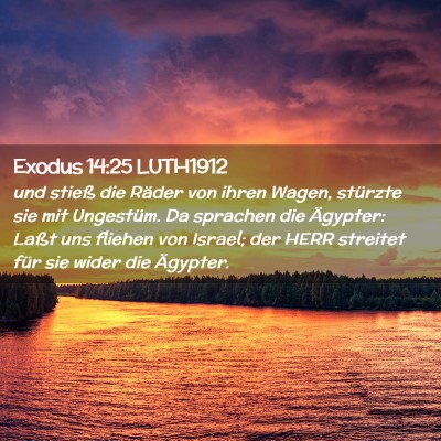 Picture 02 - Exodus 14:25 LUTH1912 - und stieß die Räder von ihren Wagen, stürzte - Bible Verse Picture