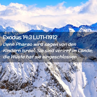 Picture 02 - Exodus 14:3 LUTH1912 - Denn Pharao wird sagen von den Kindern Israel: - Bible Verse Picture