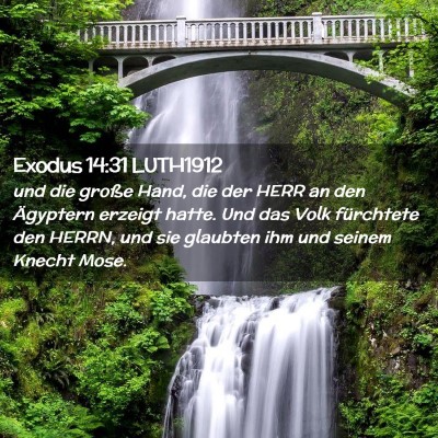 Picture 02 - Exodus 14:31 LUTH1912 - und die große Hand, die der HERR an den - Bible Verse Picture