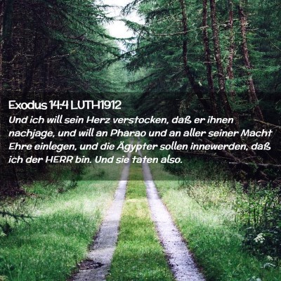 Picture 02 - Exodus 14:4 LUTH1912 - Und ich will sein Herz verstocken, daß er ihnen - Bible Verse Picture