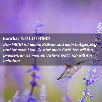 Picture 02 - Exodus 15:2 LUTH1912 - Der HERR ist meine Stärke und mein Lobgesang und - Bible Verse Picture