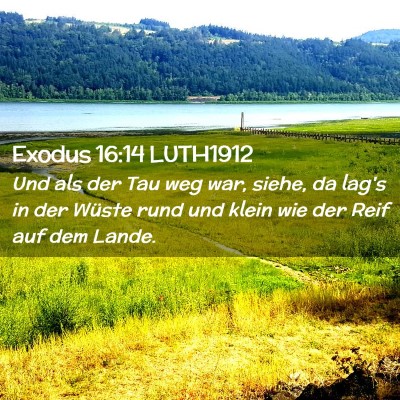 Picture 02 - Exodus 16:14 LUTH1912 - Und als der Tau weg war, siehe, da lag's in der - Bible Verse Picture