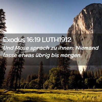Picture 02 - Exodus 16:19 LUTH1912 - Und Mose sprach zu ihnen: Niemand lasse etwas - Bible Verse Picture