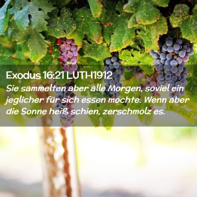 Picture 02 - Exodus 16:21 LUTH1912 - Sie sammelten aber alle Morgen, soviel ein - Bible Verse Picture