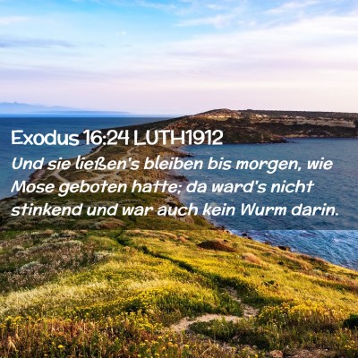 Picture 02 - Exodus 16:24 LUTH1912 - Und sie ließen's bleiben bis morgen, wie Mose - Bible Verse Picture