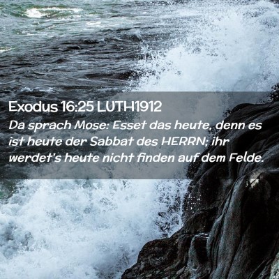 Picture 02 - Exodus 16:25 LUTH1912 - Da sprach Mose: Esset das heute, denn es ist - Bible Verse Picture