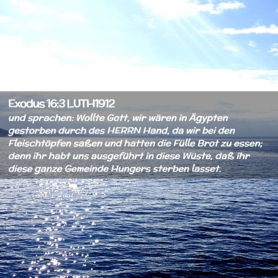 Picture 02 - Exodus 16:3 LUTH1912 - und sprachen: Wollte Gott, wir wären in Ägypten - Bible Verse Picture