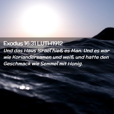 Picture 02 - Exodus 16:31 LUTH1912 - Und das Haus Israel hieß es Man. Und es war wie - Bible Verse Picture