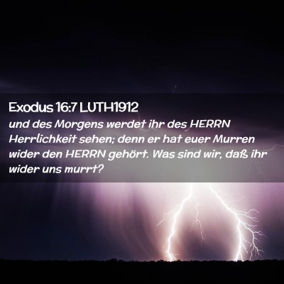 Picture 02 - Exodus 16:7 LUTH1912 - und des Morgens werdet ihr des HERRN Herrlichkeit - Bible Verse Picture