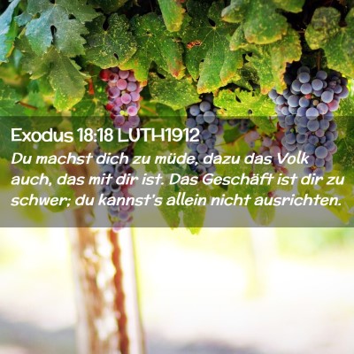 Picture 02 - Exodus 18:18 LUTH1912 - Du machst dich zu müde, dazu das Volk auch, das - Bible Verse Picture